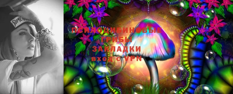 цена   omg как войти  Псилоцибиновые грибы Psilocybine cubensis  Анапа 